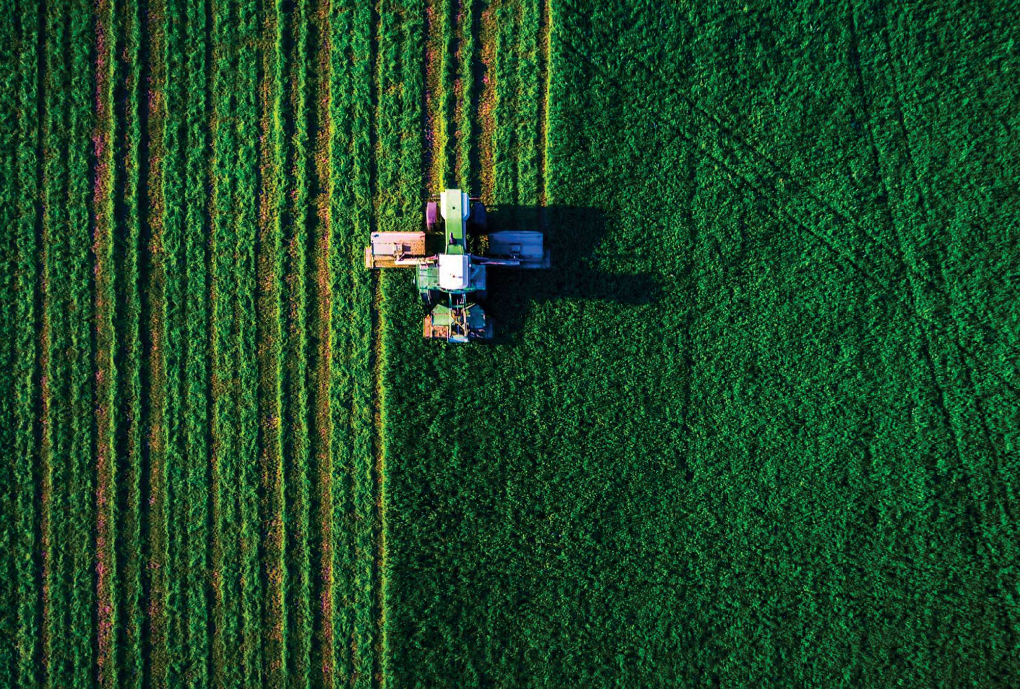 Farm Land